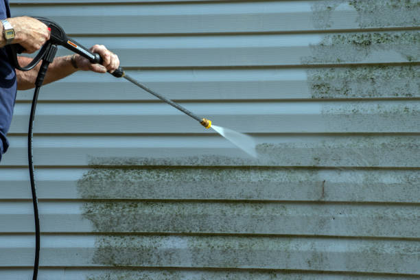  Roanoke, VA Pressure Washing Pros